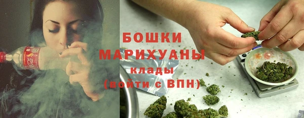 крисы Абдулино