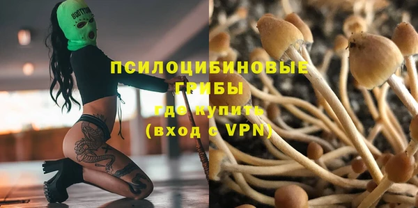 крисы Абдулино