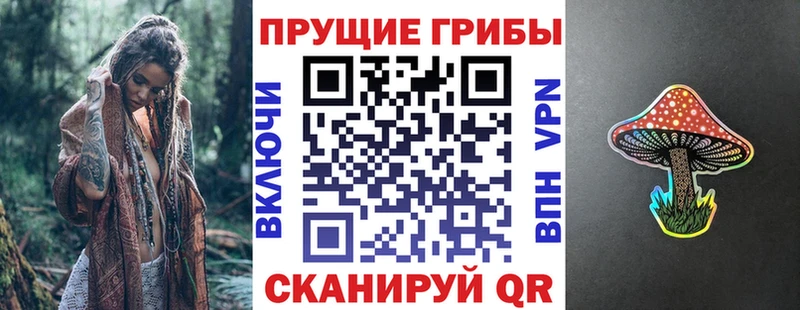 наркотики  Балахна  Псилоцибиновые грибы мухоморы 